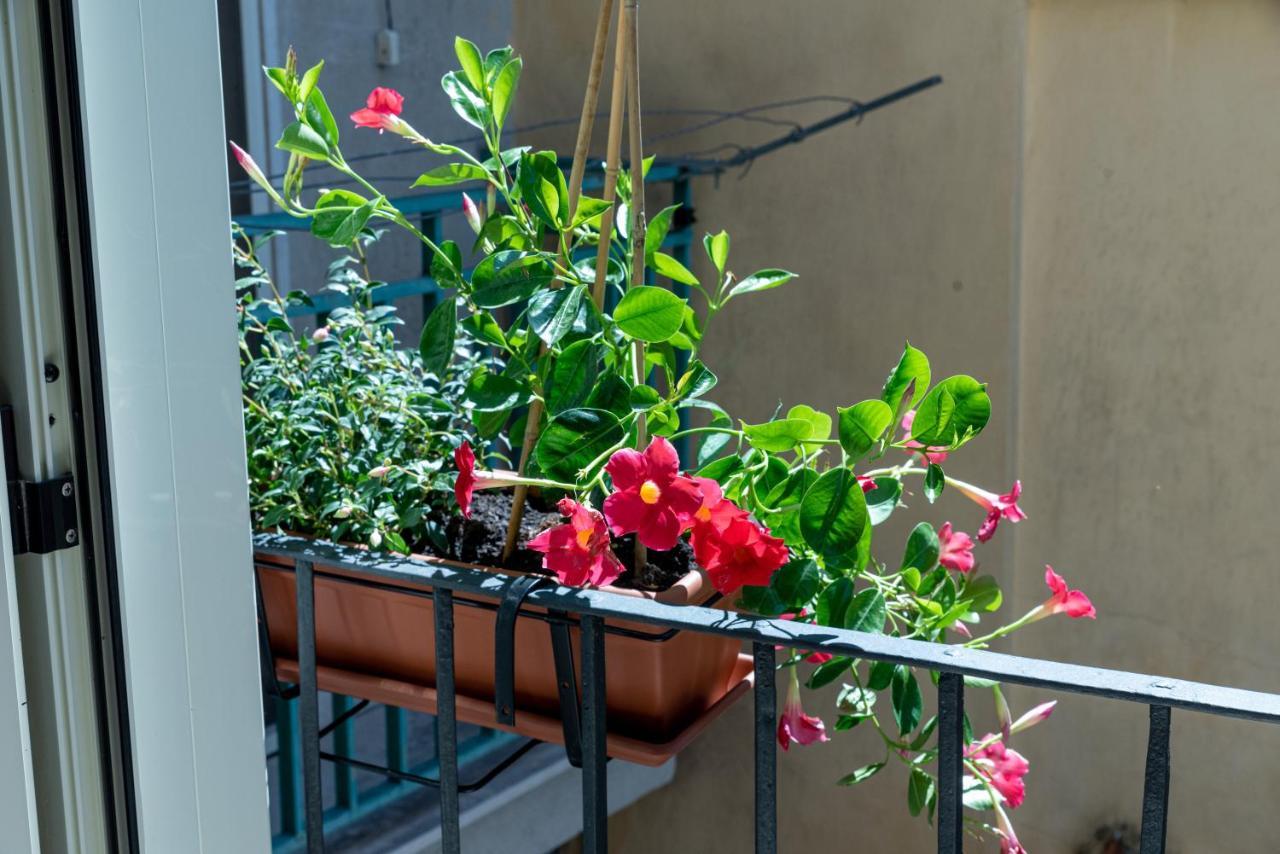 Mandevilla Home Caiazzo Ngoại thất bức ảnh